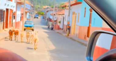 Cabros por las calles de zapatoca.