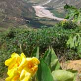 Cañón del Chicamocha desde Aratoca