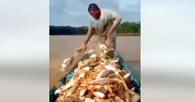 Abundancia de pescados en el río Atrato.